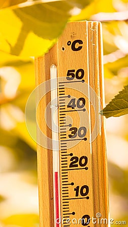 Isolated thermometer shows 20 degrees Celsius cold temperature in autumn season. Yellow, green, brown tree leaves in nature forest Stock Photo